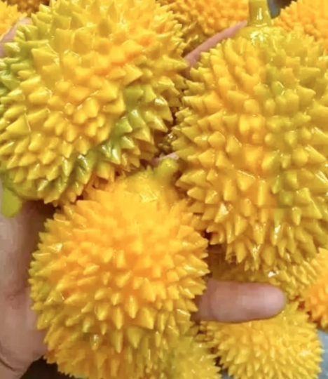 Durian crunchy squishy